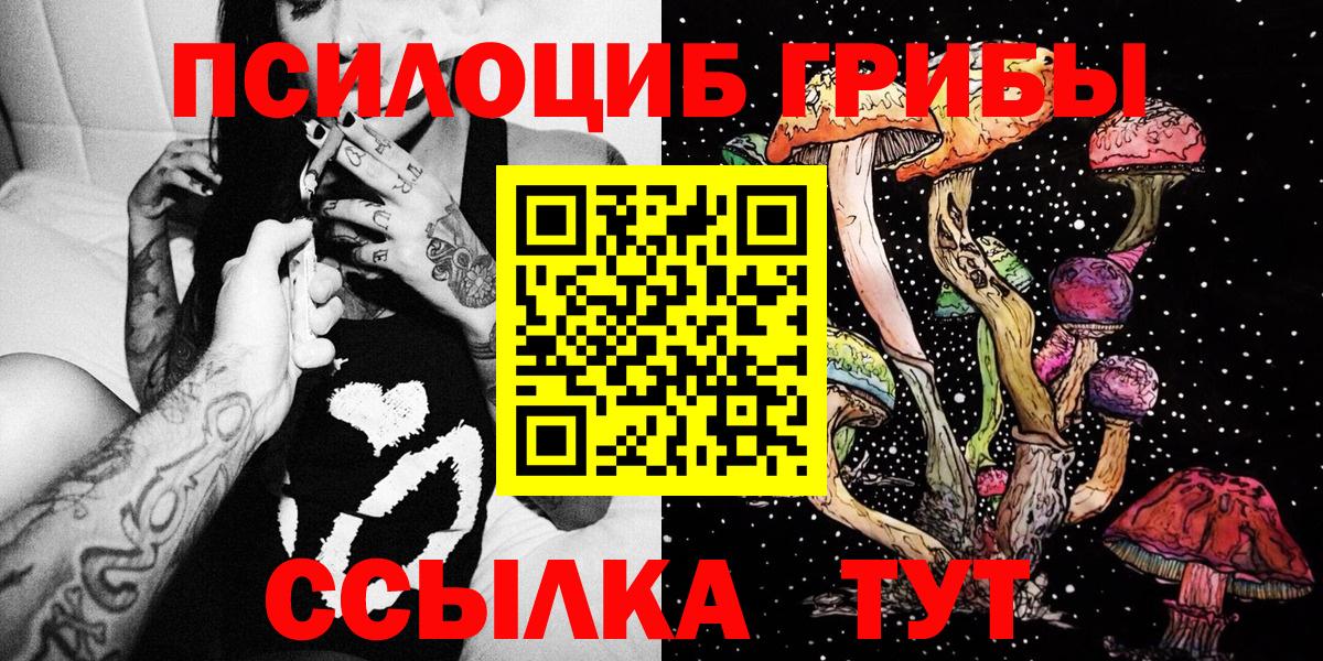 Псилоцибиновые грибы мухоморы Северск