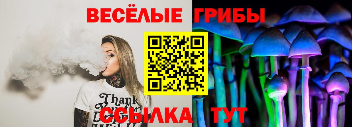 Северск  Псилоцибиновые грибы прущие грибы  Вход с VPN  Псилоцибиновые грибы MAGIC MUSHROOMS 